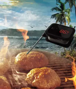 Inkbird wireless meat thermometer